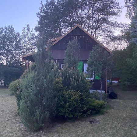 Dom Pod Sosnami Vila Rzewnie Exterior foto