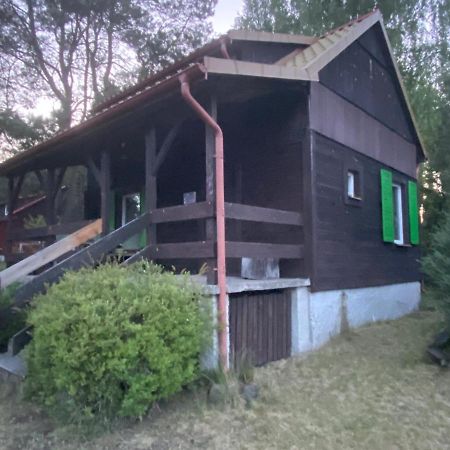 Dom Pod Sosnami Vila Rzewnie Exterior foto