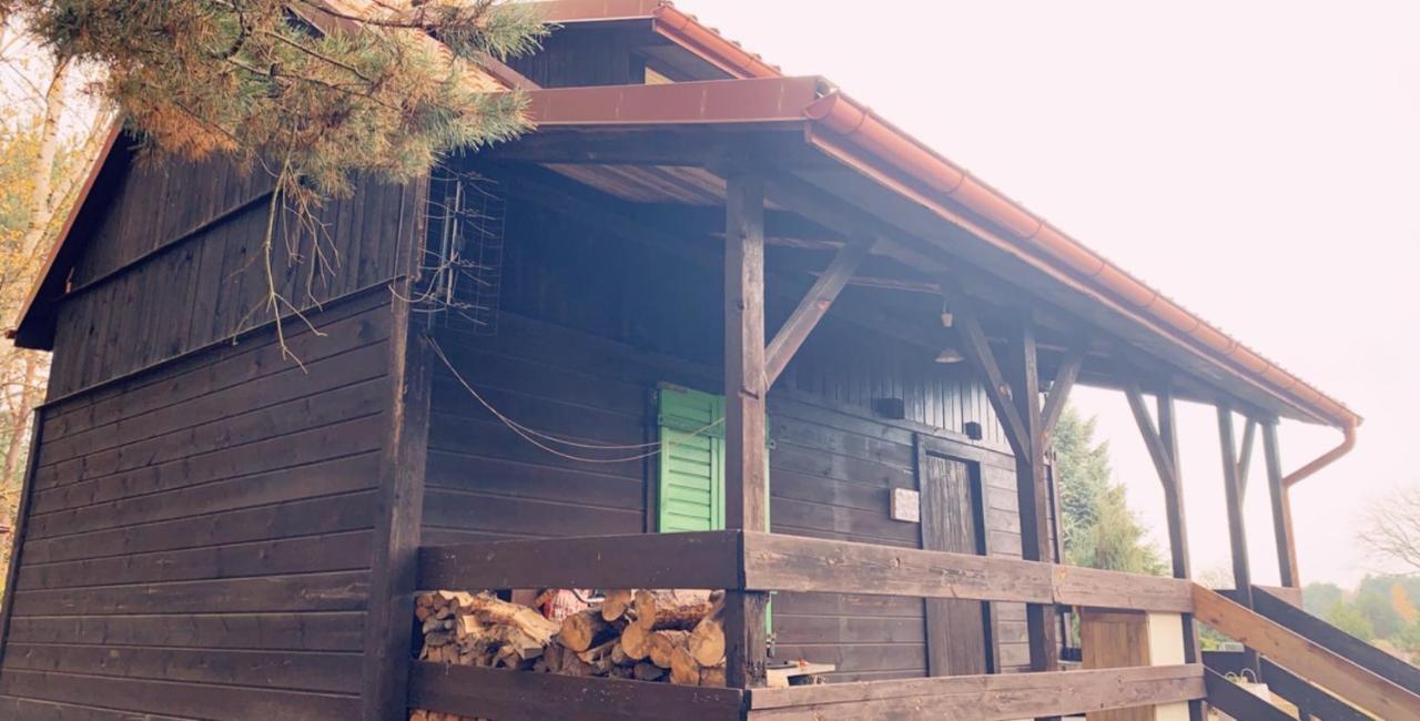 Dom Pod Sosnami Vila Rzewnie Exterior foto
