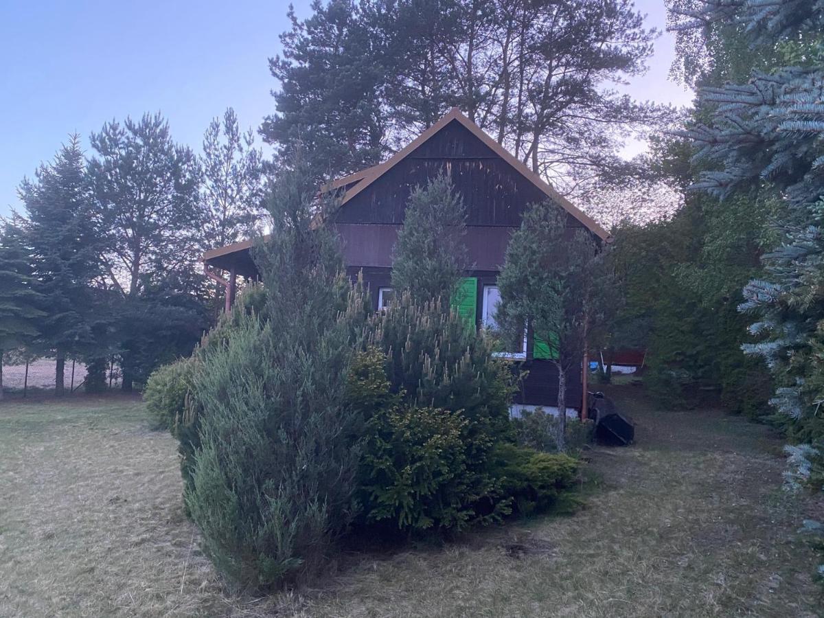 Dom Pod Sosnami Vila Rzewnie Exterior foto